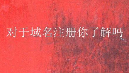 广州飓风网络-网站优化