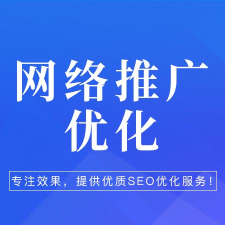 广州飓风网络-公司网站优化